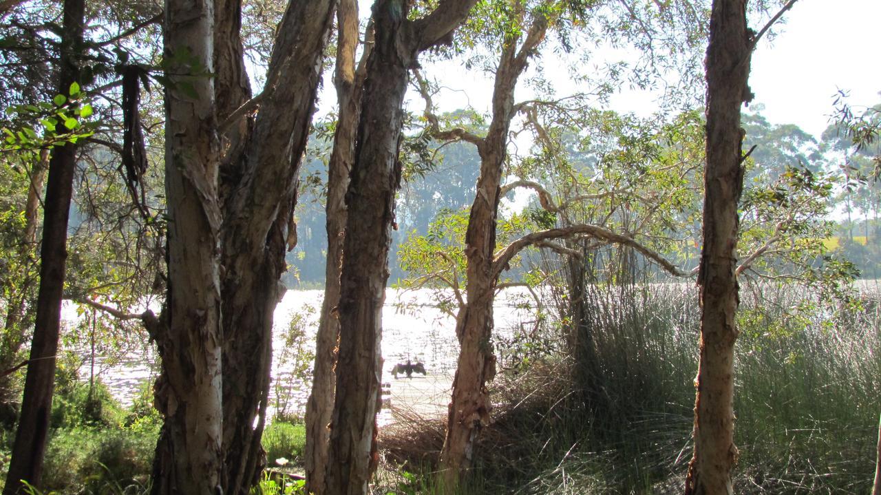 Lake Russell Retreat เอเมอรัลด์บีช ภายนอก รูปภาพ